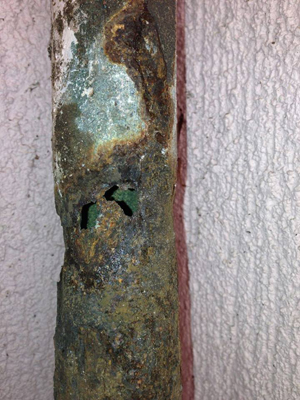 Leaking toilet Double Bay, Leaking shower Kensington, Leaking tap Kingsford, Burst Pipe Maroubra, Plumber Clovelly, Plumbing Randwick, Leaking pipe Eastern Suburbs