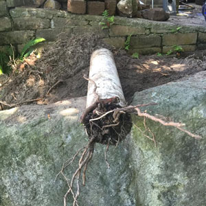 Burst Pipe Paddington, Plumber Bondi, Plumbing Bondi Junction, Leaking pipe Waverley, Leaking toilet Coogee, Leaking shower Tamarama, Leaking tap Rose Bay